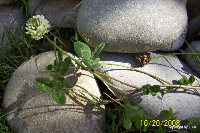 100_0367.jpg