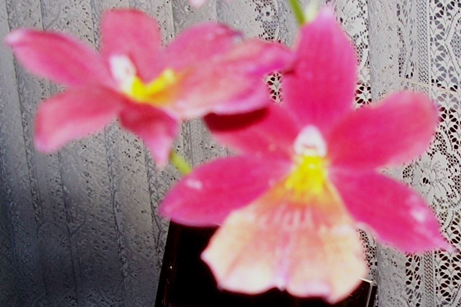 100_0379.JPG