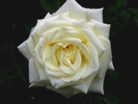 100_0407%7E0.jpg