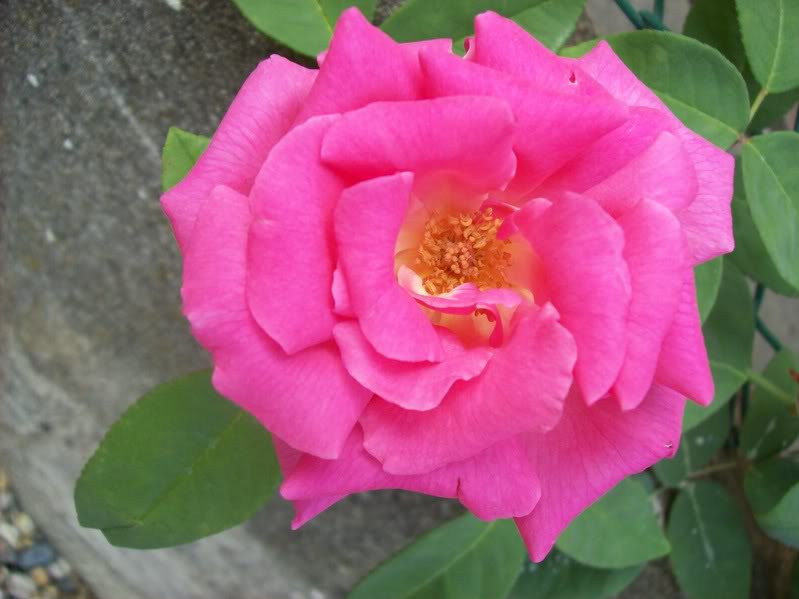 100_0417.jpg