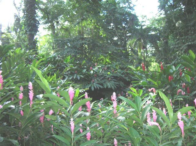 100_0490.jpg
