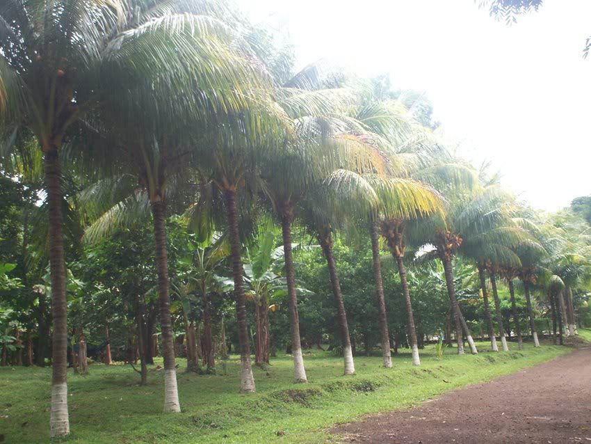 100_0500.jpg