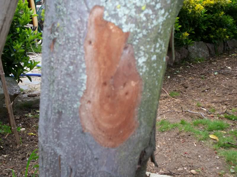 100_0612.jpg