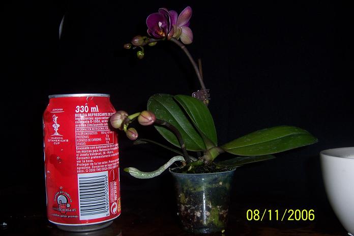 100_0644.jpg