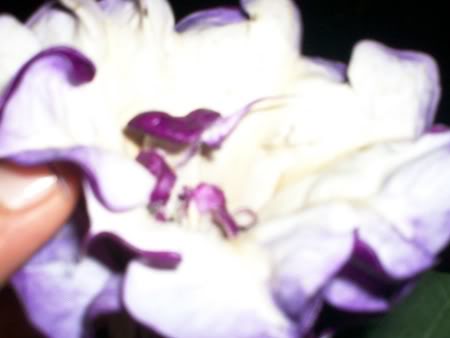 100_0651.jpg