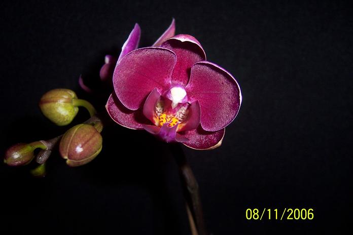 100_0652.jpg