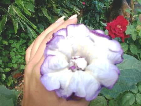 100_0671.jpg