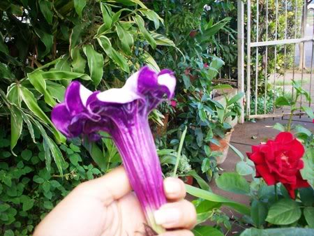 100_0672.jpg