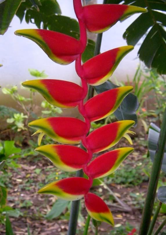 100_0700.jpg