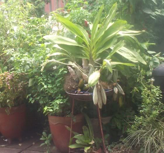 100_0771.jpg