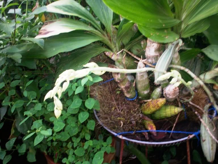 100_0772.jpg