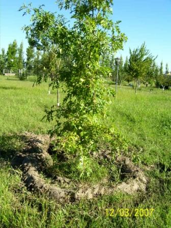 100_0789.JPG