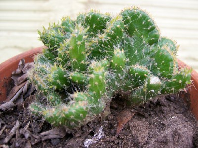 100_0796.jpg