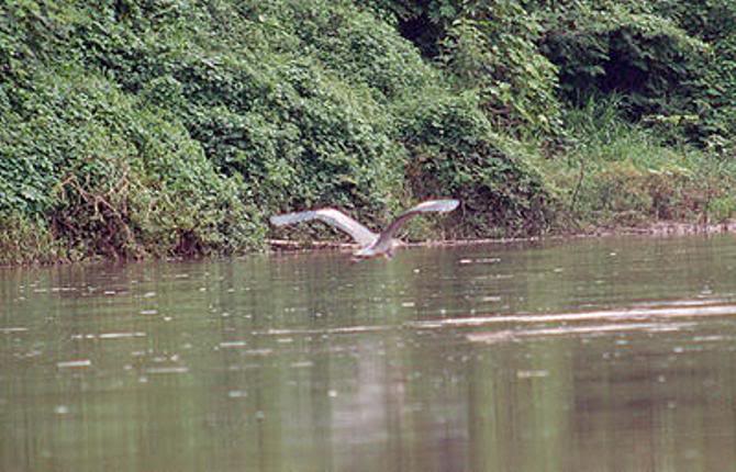 100_0837.jpg