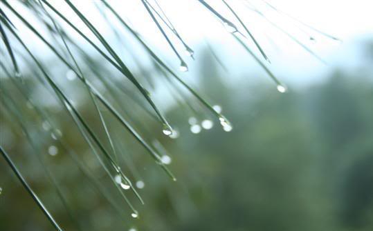 100_0857.jpg