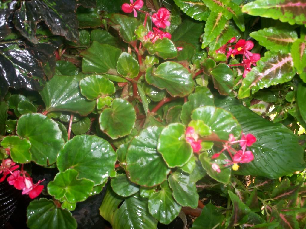 100_0973.jpg