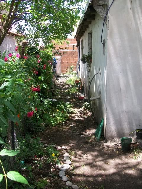 100_1110.jpg