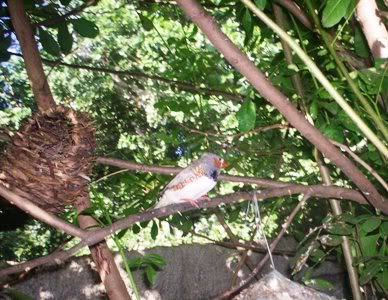 100_1160-1.jpg
