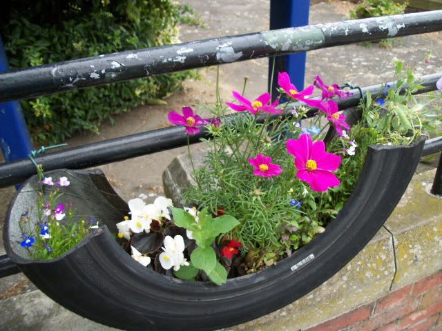 100_1244.jpg