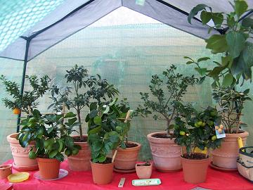 100_1294.jpg