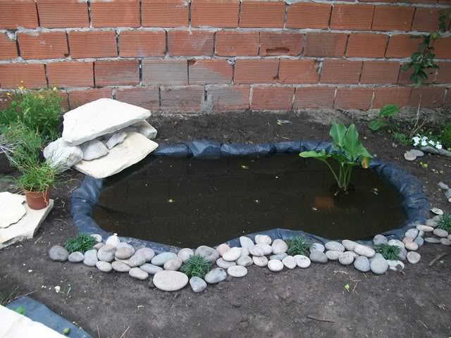 100_1315.jpg