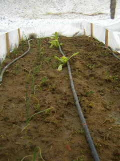 100_1340_00.JPG