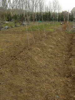 100_1343_00.JPG