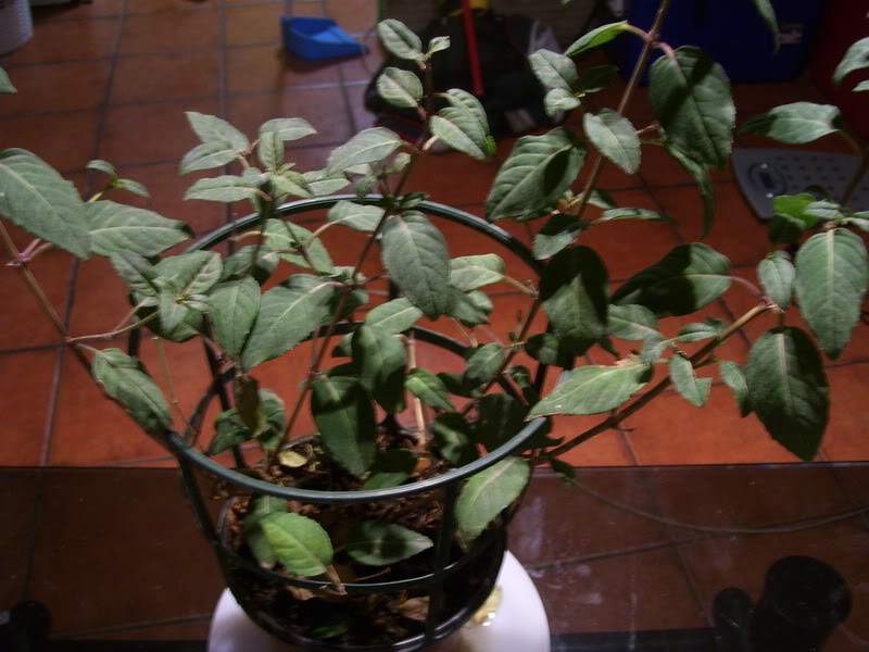 100_1389.jpg