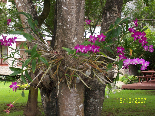 100_1395.jpg