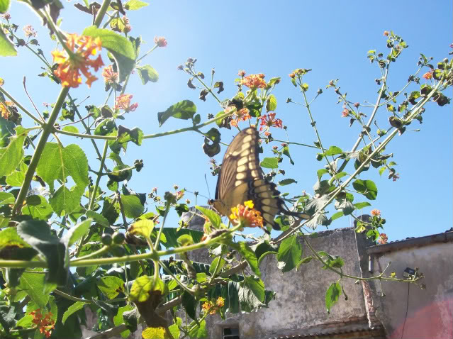 100_1401.jpg