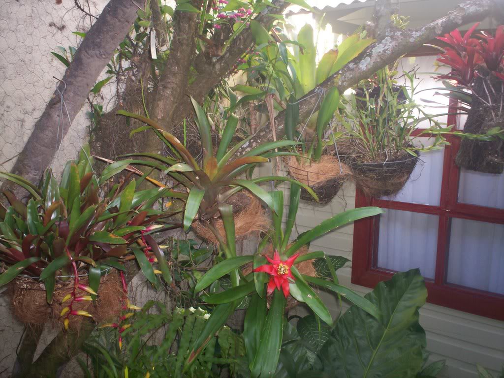 100_1466-1.jpg