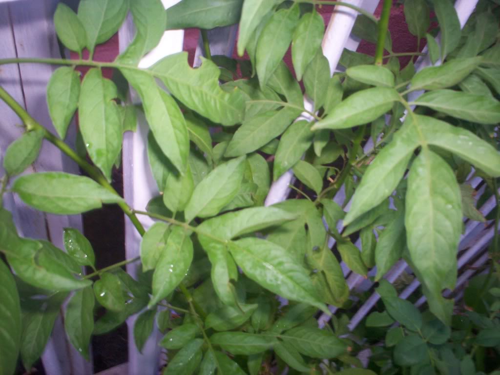 100_1544.jpg