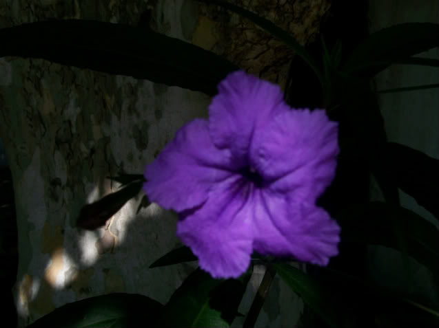 100_1563.jpg