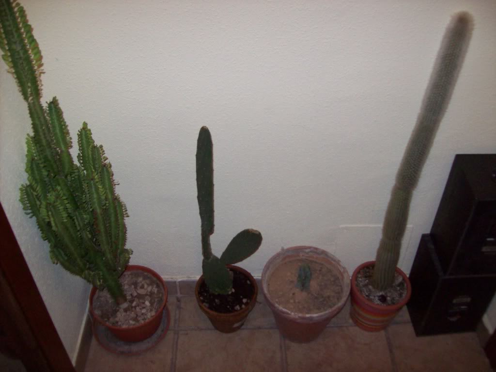 100_1564.jpg