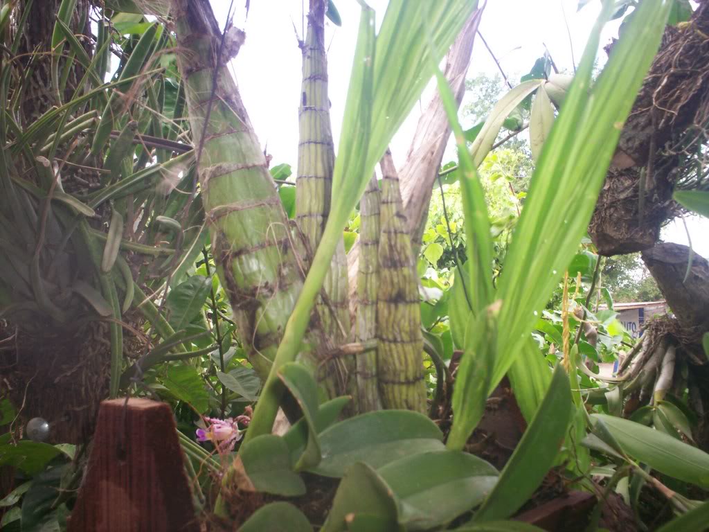 100_1579.jpg