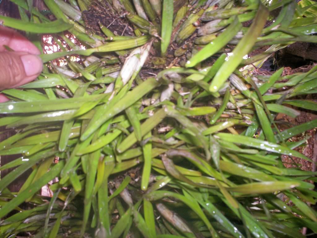 100_1585.jpg