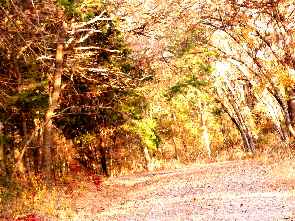 100_1598.jpg