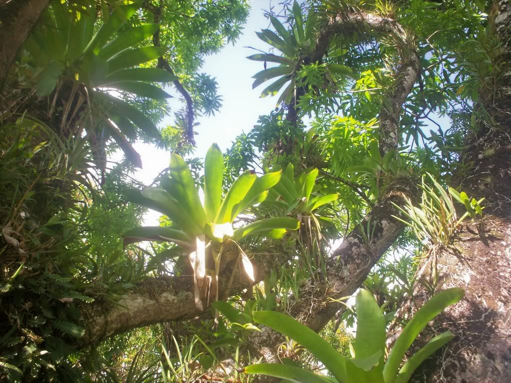 100_1606.jpg
