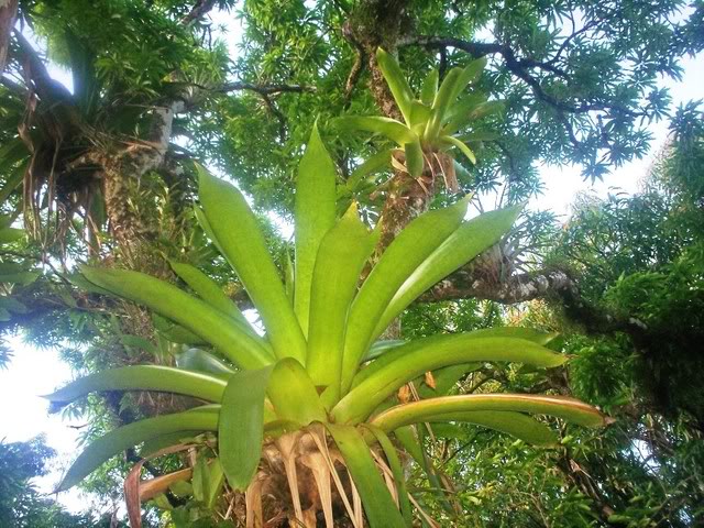 100_1608.jpg