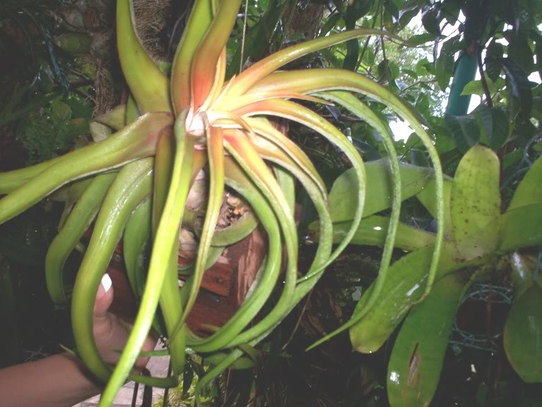 100_1675.jpg