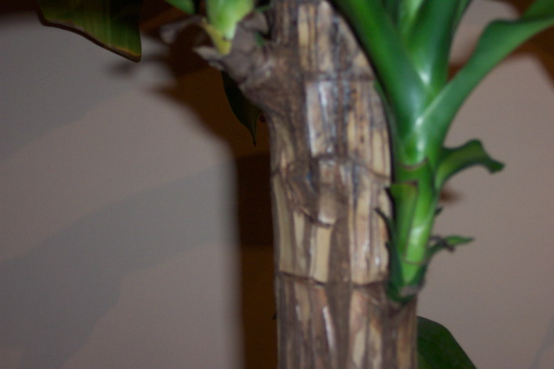 100_1699_resize.JPG