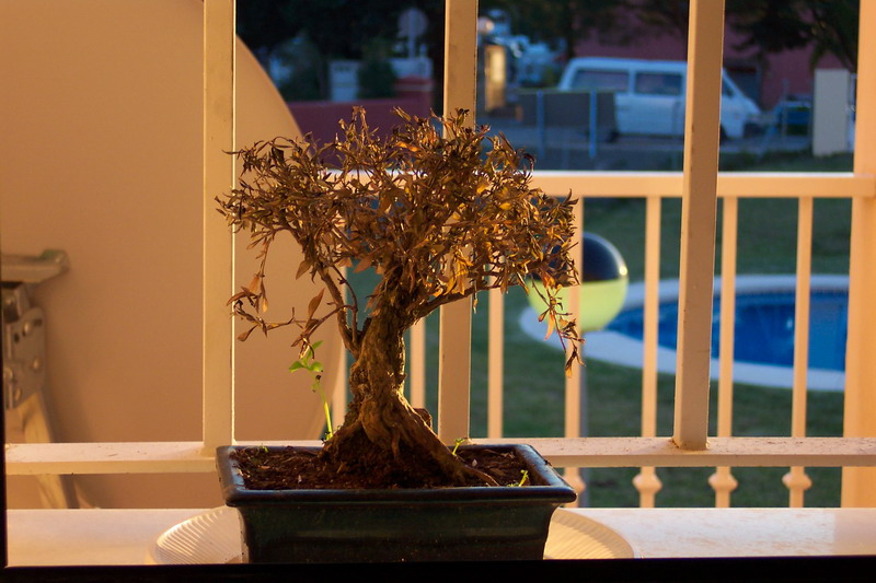 100_1702_resize.JPG