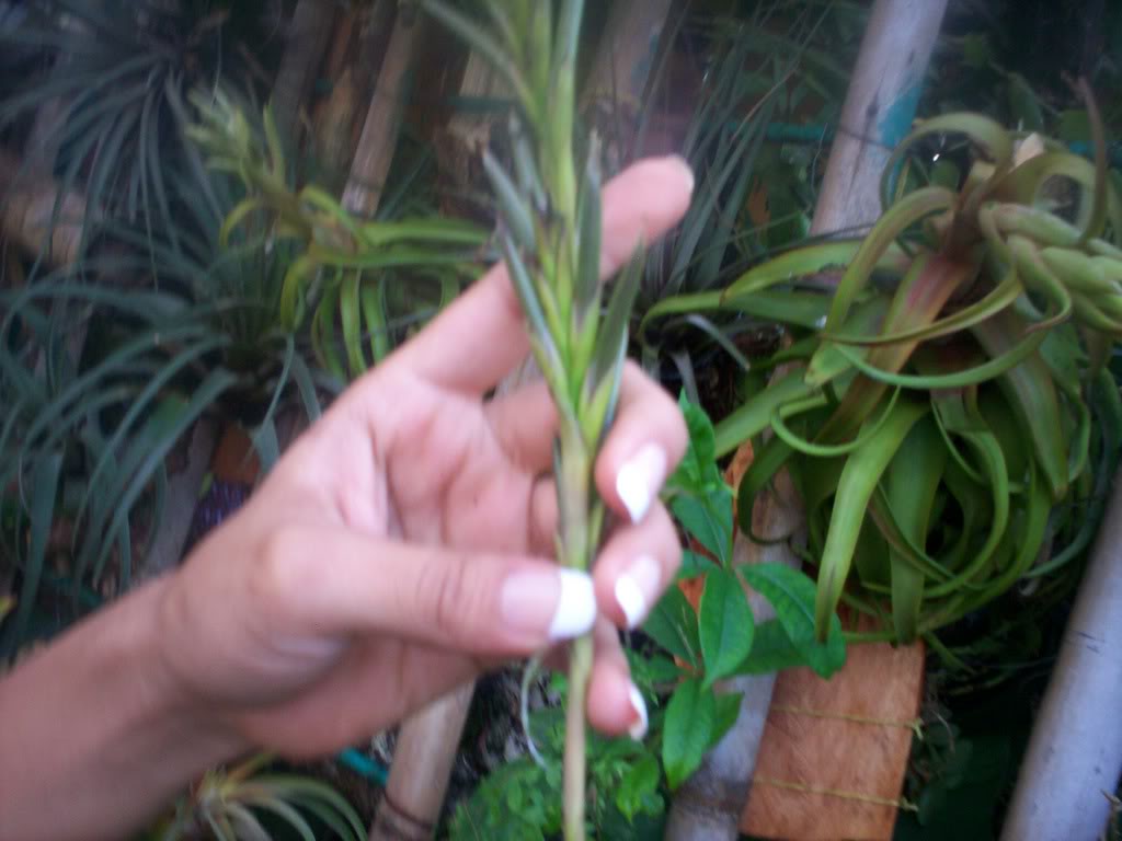 100_1706.jpg