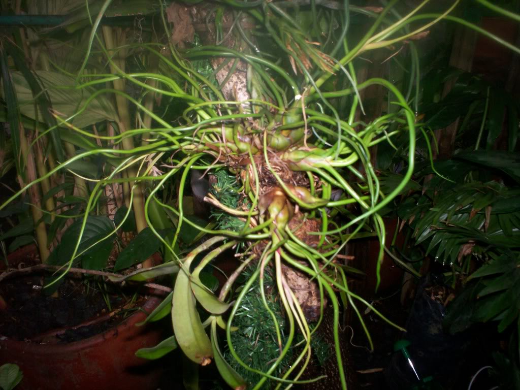 100_1708.jpg