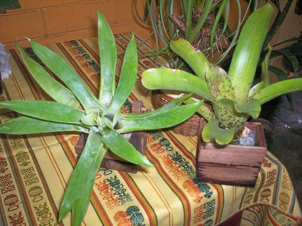 100_1739.jpg