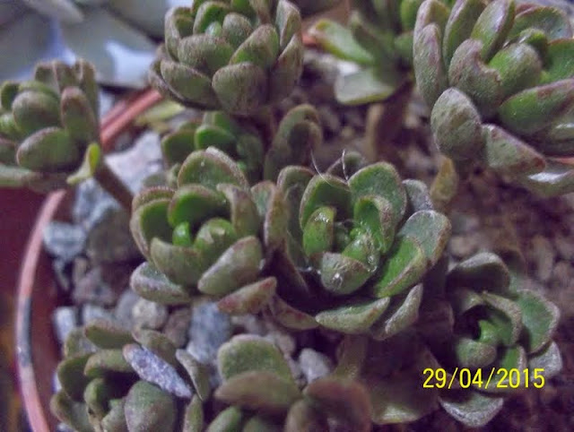 100_1760.JPG