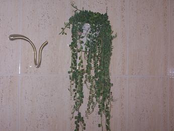 100_1977.JPG