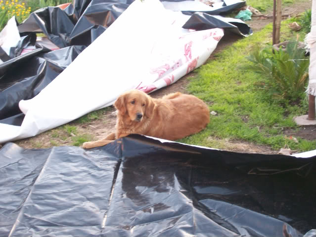 100_2011.jpg