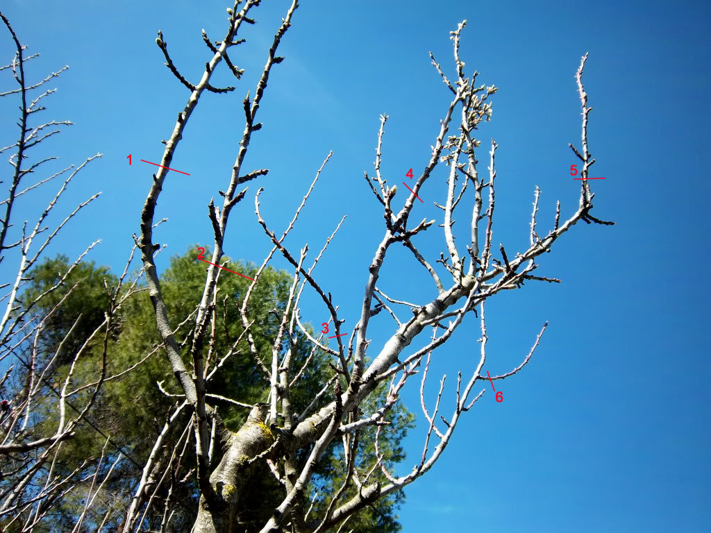 100_2012.jpg