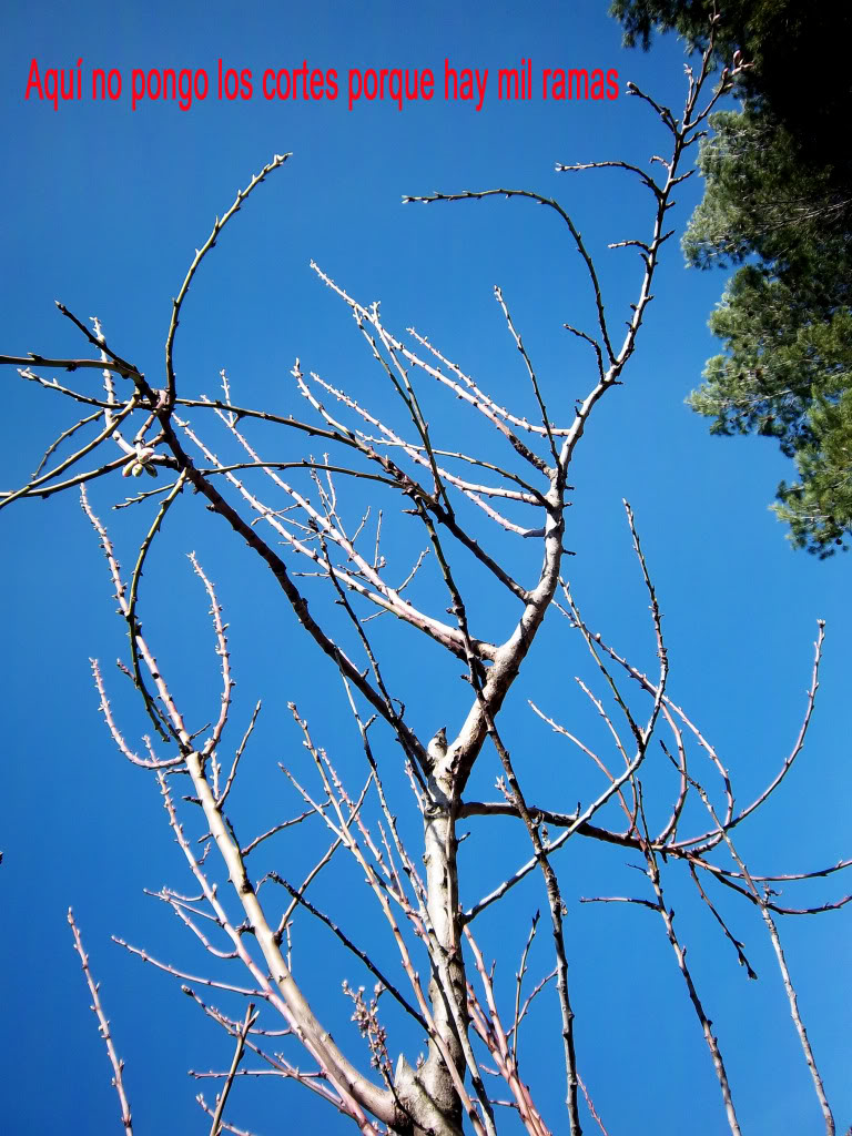 100_2013.jpg